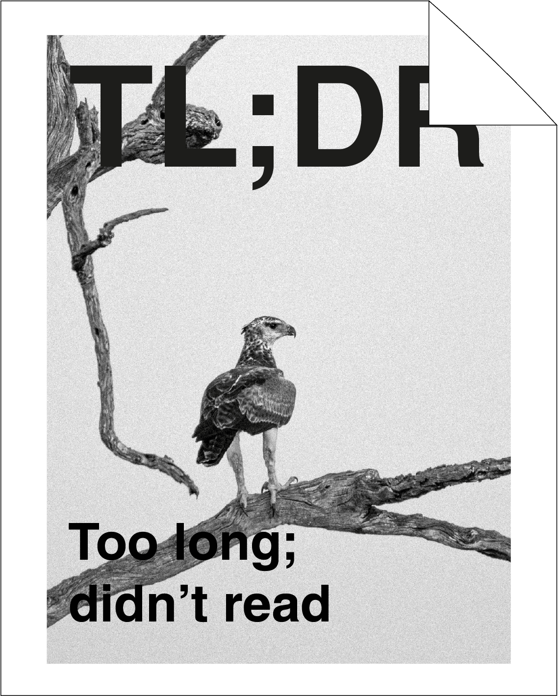 Die Studie auf Deutsch