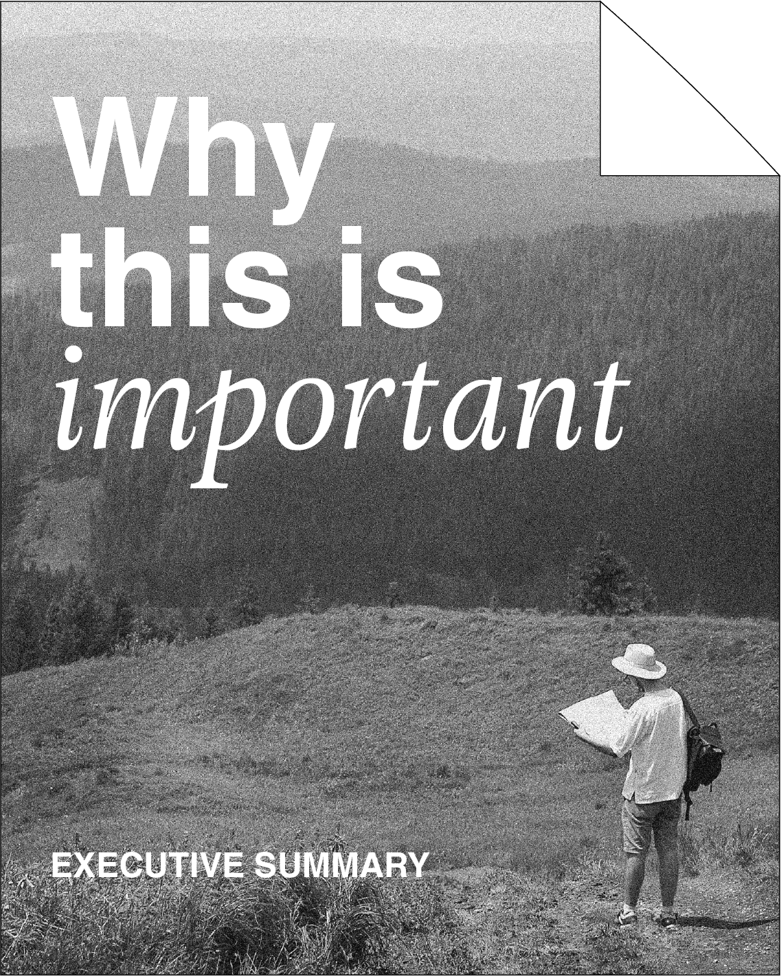 Die Studie auf Englisch